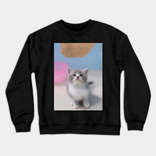 the little cute cats Crewneck Sweatshirt